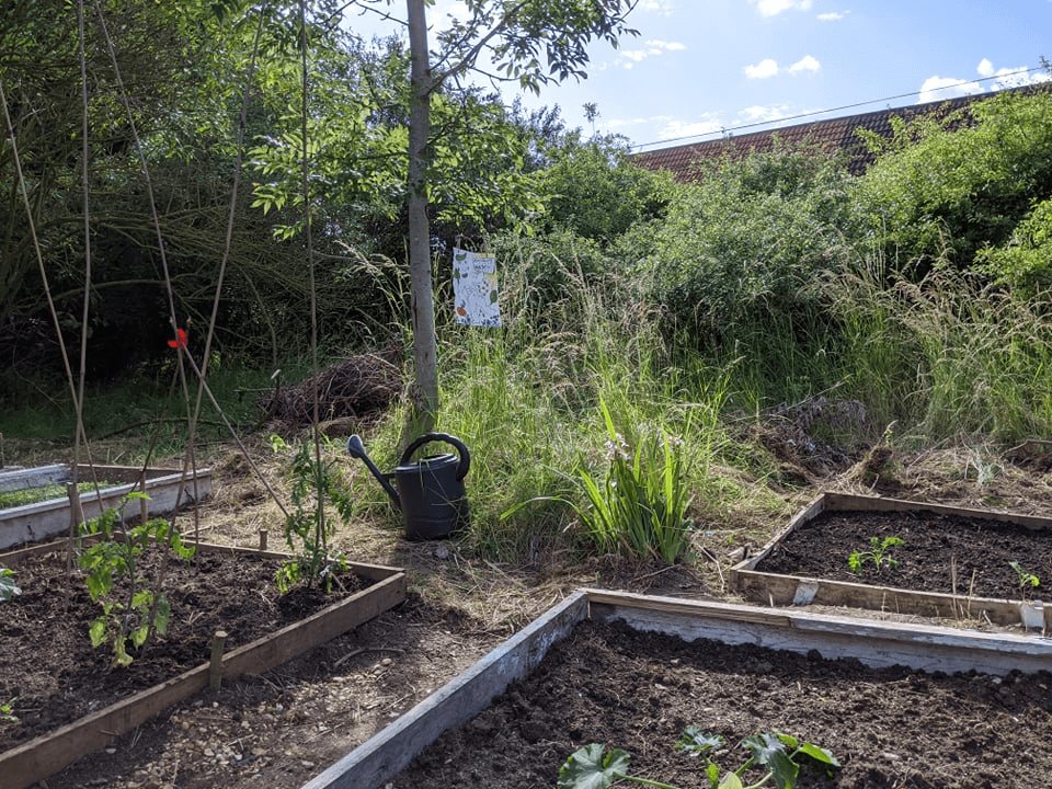 After (garden)